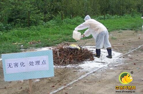 山东潍坊病死畜禽无害化处理长效机制建设成效显著