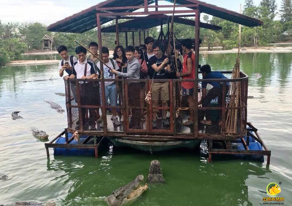 近日芭提雅大象王国一组游客在破旧的“铁皮船”上钓鳄鱼的照片引起关注，虽然看似游客们在船上玩得很开心，但是照片上看来还是有安全隐患，如果铁皮船损坏游客可能会有危险。