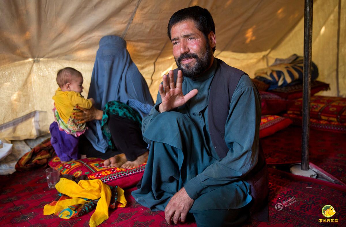 据外媒7月18日报道，阿富汗一名怀孕的14岁女孩Zarah被她丈夫的父母折磨并烧死，因为她45岁的父亲与她丈夫的表妹私奔了。图为悲伤的父亲Mohammad Azam在阿富汗首都喀布尔接受采访，为女儿的死伸张正义。
