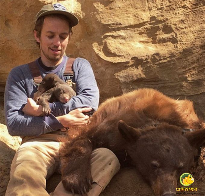 据每日邮报报道，来自美国蒙大拿州的韦斯-拉尔森是一名专门研究熊的科学家，他同时也是在Instagram上坐拥8万粉丝的网红。他经常在Instagram上发布与各种可爱动物的合影，这为他赢得了不少关注。