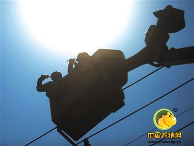 扬州：7月27日，江苏扬州，刚进行完带电作业的两名电力工人在烈日下饮水。进入“三伏天”以来，扬州持续经受高温“烤”验，为确保高温重负荷下安全供电，电力工人们奋战在施工一线。