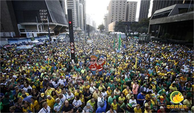 当地时间7月31日，距离巴西里约奥运会开幕还有5天时间，巴西各地民众仍在举行抗议，要求被停职的总统罗塞夫下台。图为圣保罗举行大规模抗议活动。