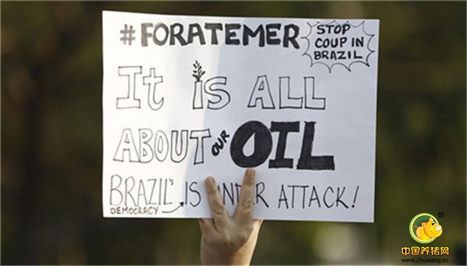 圣保罗民众街头集会，标语上写着“停止政变”、“都是因为我们的石油”等等。