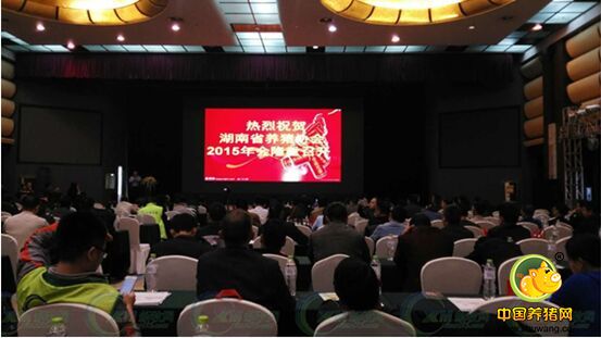 湖南养猪协会2015年年会隆重召开