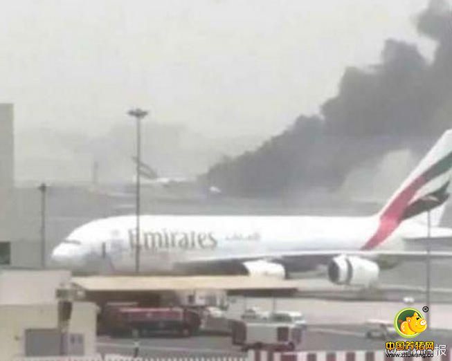 阿联酋《阿布扎比国民报》3日称，当天上午10时20分，事故飞机EK521从印度南部城市锡鲁万纳塔普拉姆起飞，中午12时45分在迪拜国际机场紧急迫降。EK521降落时未能放出起落架，机身与跑道接触，场面惊险。飞机停稳后，机场和机组工作人员迅速安排机上282名乘客在90秒内安全撤离，机组人员紧随其后，飞机之后发生爆炸。