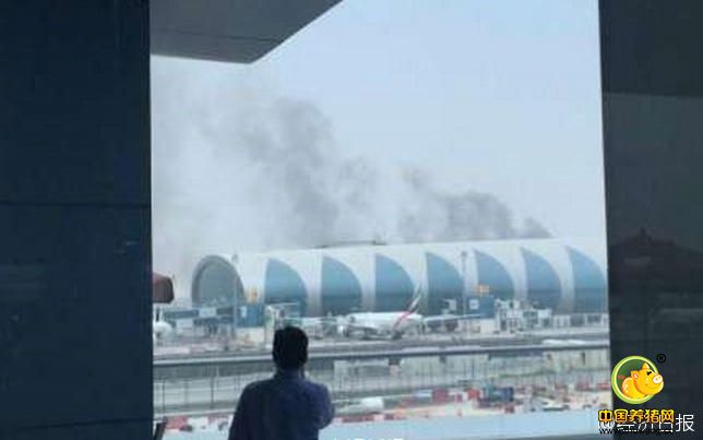 阿联酋民航总局负责人表示，已着手调查事故原因，收集必要的证据，比如飞机“黑匣子”。《阿布扎比国民报》说，3日的事故虽未造成机上人员伤亡，但机体全毁，一名消防员遇难，是阿联酋航空公司运营30多年来最严重的飞行事故。