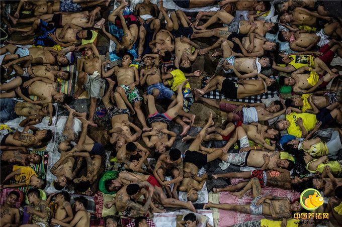 据《大西洋月刊》报道，菲律宾总统杜特尔特实行铁腕禁毒政策，在雷厉风行的密集扫毒行动之下，已经有数千名毒贩被捕。在马尼拉，一座容纳800人的监狱里像填鸭一般关押了3800人。犯人们摩肩接踵，没有任何私人空间。