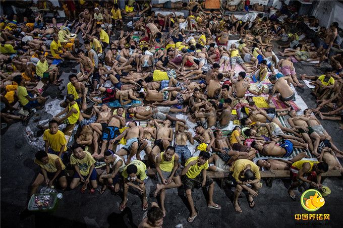 菲律宾800人监狱塞满3800名犯人 密不透风