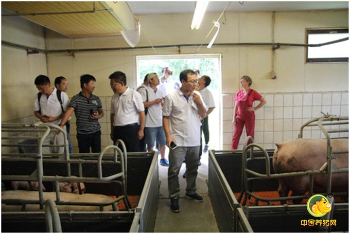 7月27日，考察团来到Nebelschütz GmbH进行参观。Nebelschütz GmbH猪场从1983年建场开始长期采用定时输精技术，已有30余年的历史，2000年后又实施母猪生产批次化管理技术。该场有能繁长大母猪2000头，采用3点式饲养模式，是德国最好的母猪繁殖场之一。