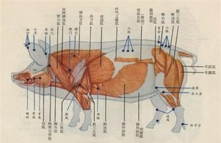 经验分享:使用南瓜子治疗猪蛔虫病
