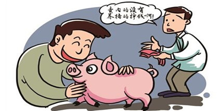 养猪补贴?!2016年农业部养猪业补贴您拿了多