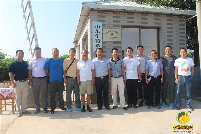 2016年8月21日中国养猪网陈红伟来到山东华特希尔育种有限公司，走进山东荣昌育种站。