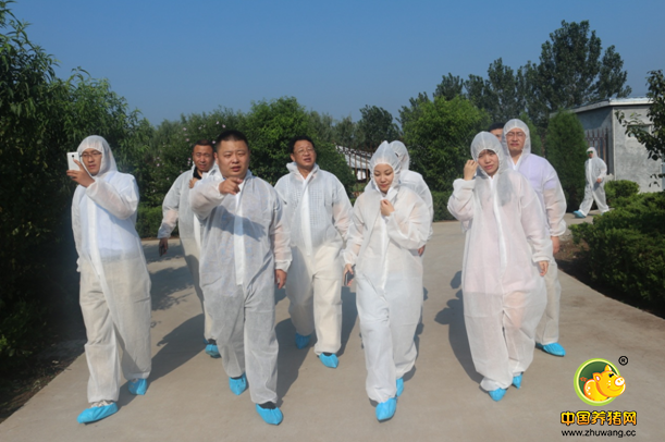 《中国猪业高层交流论坛》线下活动山东站之（三）荣昌育种