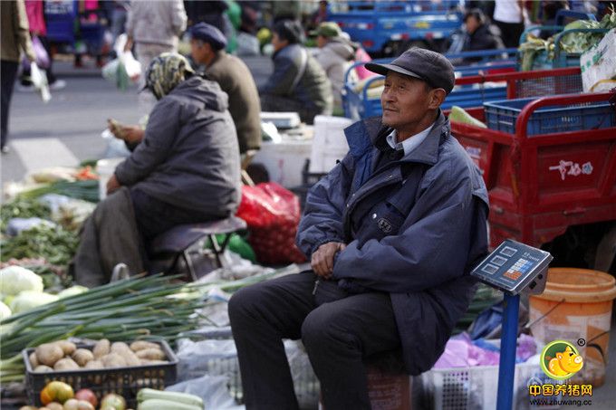 2016年8月28日，黑龙江省黑河市，一些需要起早做生意的菜贩们穿上了厚厚的棉袄外出卖菜。由于黑河市最低气温突降到零上4度，逼近零度，市民们纷纷穿各式棉衣出行。