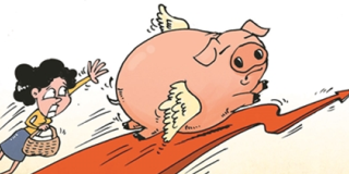 一周综述：猪价利好增加 进入9月反弹迹象明显