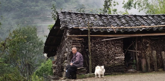 养猪富人和养猪穷人差别这么大!原因其实是.