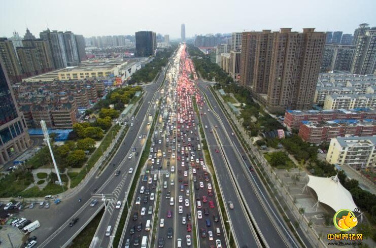 据了解，陇海路—中州大道互通式立交桥的建设耗费6.5亿元，立交桥全面通车才两个多月，就演变成了郑州市区的有名“堵点”。