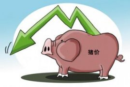 近期猪价可能出现恢复性上涨