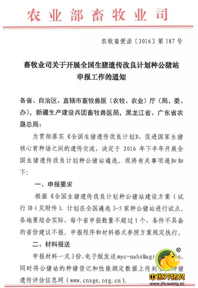 農(nóng)業(yè)部將在全國(guó)遴選3-5家全國(guó)生豬遺傳改良計(jì)劃種公豬站