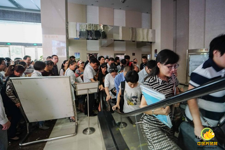 2016年9月22日，江苏省常州市，早上九点才开门办理业务的常州不动产登记交易中心已排长队，开门后人们蜂拥而上挤爆交易中心办过户。