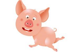 国庆期间锡城生猪供应充足 9月猪价环比下跌2.55%