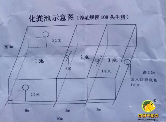 自建房化粪池展示