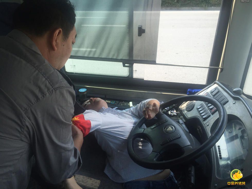 2016年10月8日，江苏南京，下午1:30在龙蟠路由南向北白马公园门口，一辆40路公交车司机突发疾病，将车辆勉强靠边后，打开车门放下乘客后，打电话给公司并且报警后自己倒在驾驶室。120、110迅速到场，女司机躺在驾驶室里昏迷状态，120及110将女司机抬下公交车送上救护车到鼓楼医院抢救。