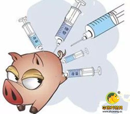 刘伟：有伪狂犬母源抗体的仔猪，还有必要滴鼻吗？
