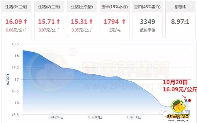 预测猪价有窍门？关于猪价哪些预测不可信？且听分析......