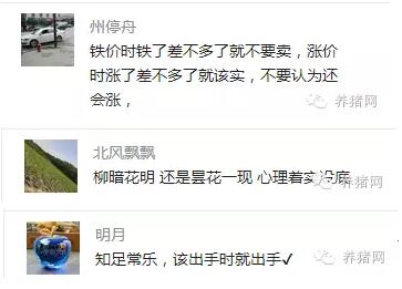预测猪价有窍门？关于猪价哪些预测不可信？且听分析......