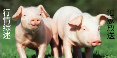 多方因素或已经导致了原有猪周期的消失