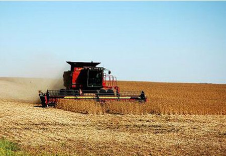 11月USDA供需报告产量利空 大豆市场能否苦尽甘来？