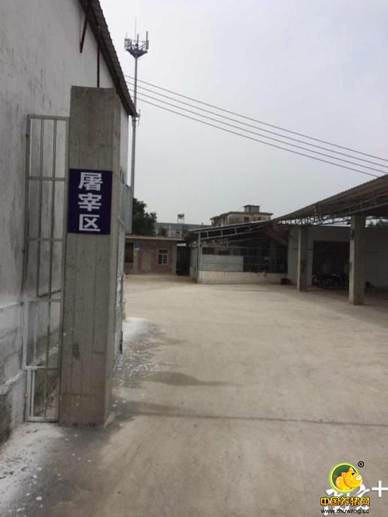 雅塘镇食品站新修建的屠宰场。