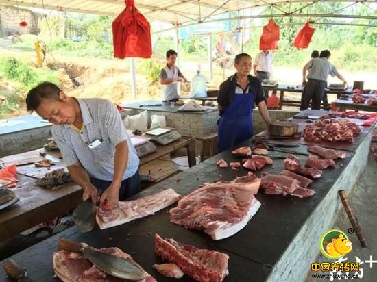 和寮镇肉商自发在广西省文地镇搭设的肉档，部分屠商留在和寮农贸市场招揽生意，然后开车将顾客载往此处。