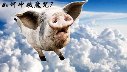 猪价到底能不能涨到17元/公斤？