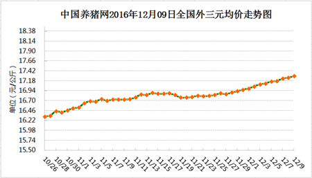 12月09日猪评：多地猪价震荡调整 无关大局还是下跌征兆