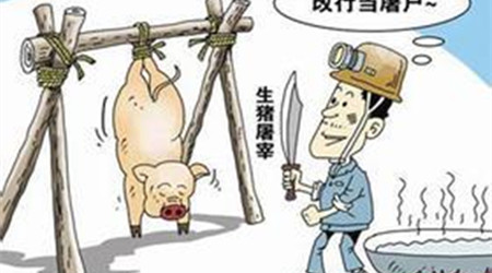 农业部：做好2017年元旦春节期间生猪屠宰监管工作