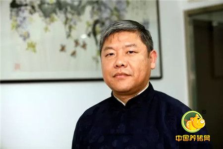二零一七,聊聊您关心的养猪产业、政策…… “哈兽维科•猪兜讲坛”直播节目第7期预告