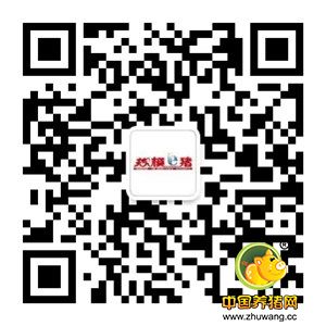 二零一七,聊聊您关心的养猪产业、政策…… “哈兽维科•猪兜讲坛”直播节目第7期预告