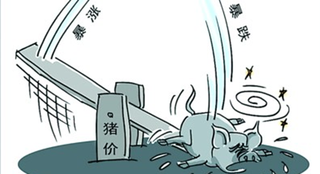 1月猪价行情总体保持稳中伴涨,3月份可能走强