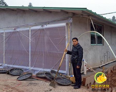 1月31日，记者走进湖南省靖州县渠阳镇官团村委会养猪场，在村委会主任孙昌越的带领下参观了该村“温氏”养猪场项目。