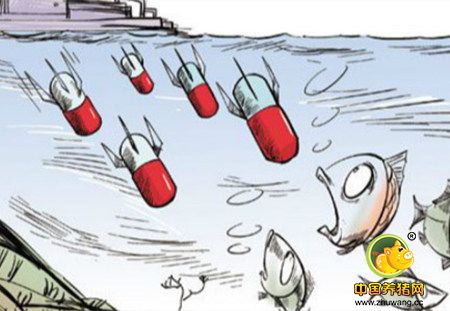 广东省出台畜禽水产品抗生素及兽药使用通告