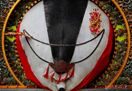 台湾神猪祭：1700斤肥猪夺魁后被宰杀游街