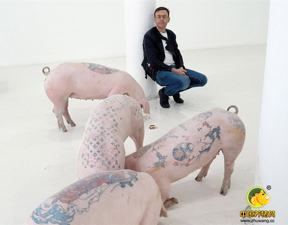 猪纹身
