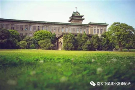 机不可失！与中美顶级猪业专家面对面交流，一站式解决猪场问题