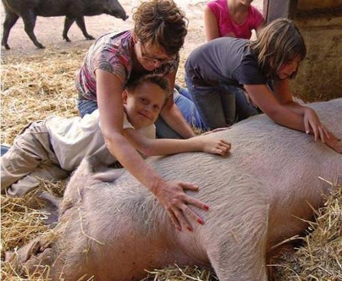 韦斯特霍夫得到动物爱好者的捐赠，目前全职在农场工作，与义工们一同打理猪的日常生活。报道称，她每天大部分时间为猪准备饲料及清理，甚至把一辆旧巴士改造成了一个救护车给猪检查，确保它们健健康康。此外，农场也会定时举办互动教育活动，让游客接触猪，给它们按摩和拥抱。