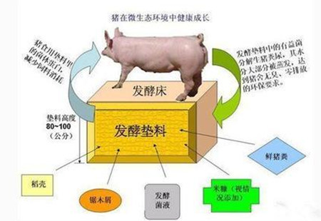 “槽式翻抛机+异位发酵床”颠覆传统养猪业