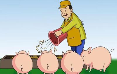 众多猪肉贩不开市 三亚至少8个市场没有猪肉卖(图)