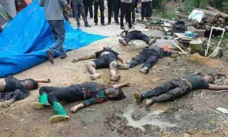 猪场一天连续死了6个人,原因实在让人心痛!
