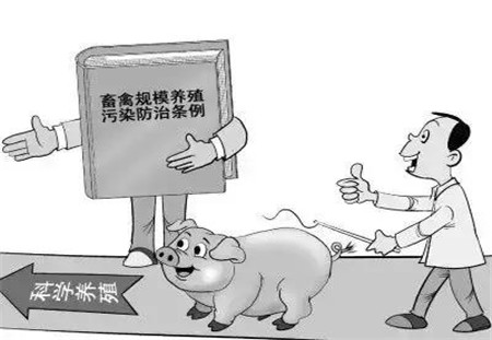 500头以上猪场要征环保税!2018年1月1日实行!